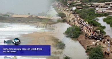 Protecting coastal areas of Sindh from sea intrusion