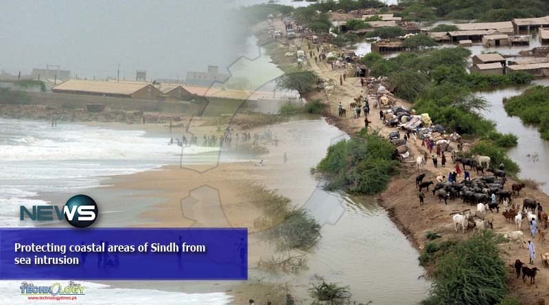 Protecting coastal areas of Sindh from sea intrusion