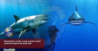 Researchers-create-a-new-acoustic-smart-material-inspired-by-shark-skin
