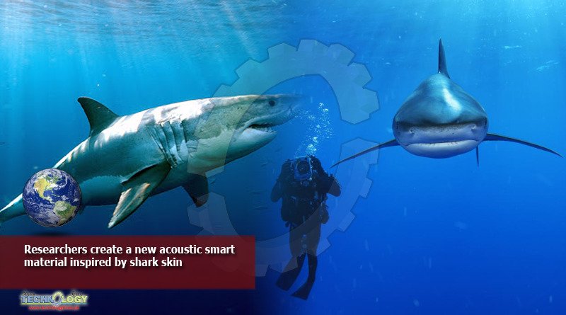 Researchers-create-a-new-acoustic-smart-material-inspired-by-shark-skin