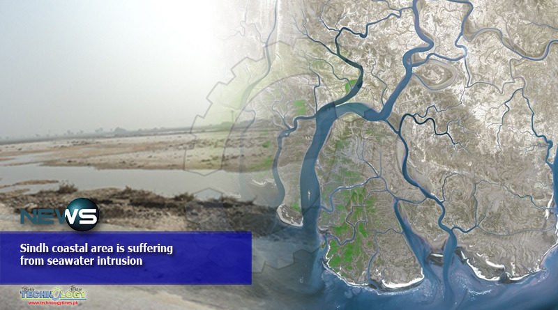 Sindh coastal area is suffering from seawater intrusion