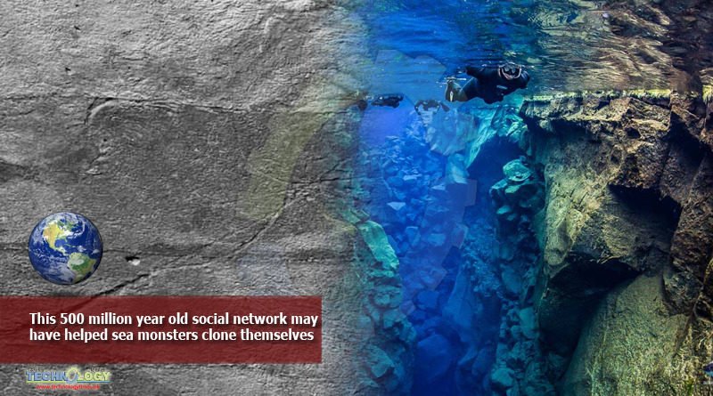 This-500-million-year-old-social-network-may-have-helped-sea-monsters-clone-themselves