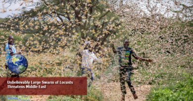 Unbelievably-Large-Swarm-of-Locusts-Threatens-Middle-East