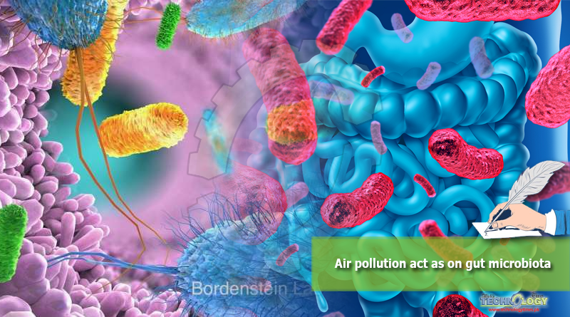 Air pollution act as on gut microbiota