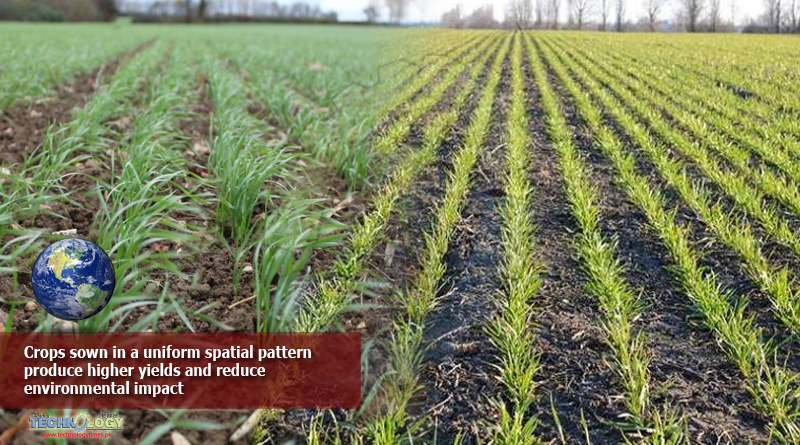 Crops-sown-in-a-uniform-spatial-pattern-produce-higher-yields-and-reduce-environmental-impact