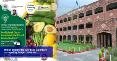 Online-Training-for-Safe-Food-Guidelines-arranged-by-Punjab-University