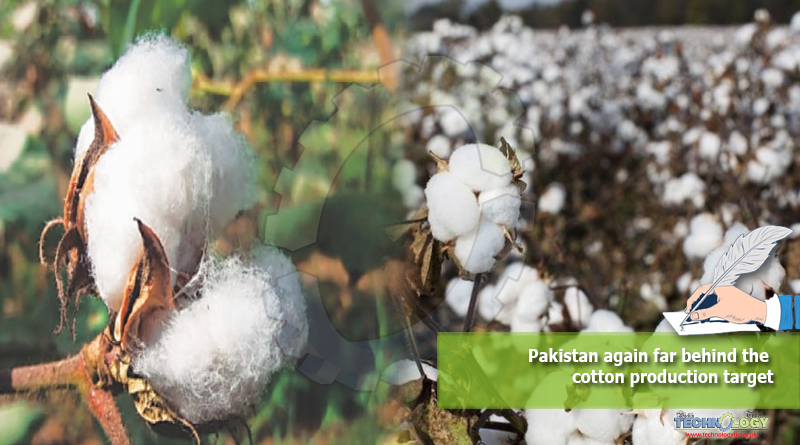 Pakistan-again-far-behind-the-cotton-production-target