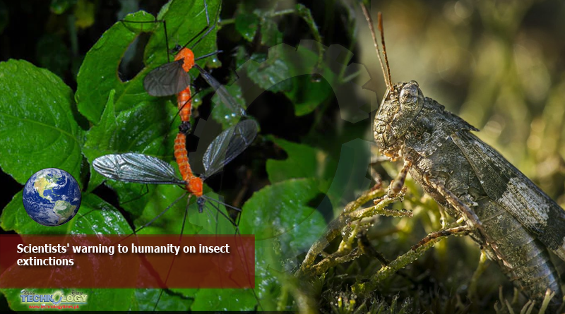 Scientists-warning-to-humanity-on-insect-extinctions