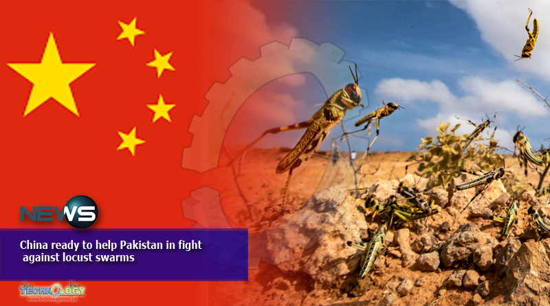 China ready to help Pakistan in the fight against locust swarms