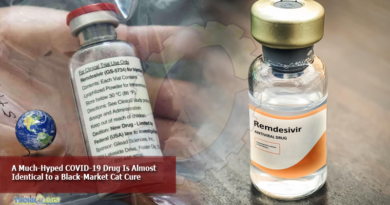 A-Much-Hyped-COVID-19-Drug-Is-Almost-Identical-to-a-Black-Market-Cat-Cure