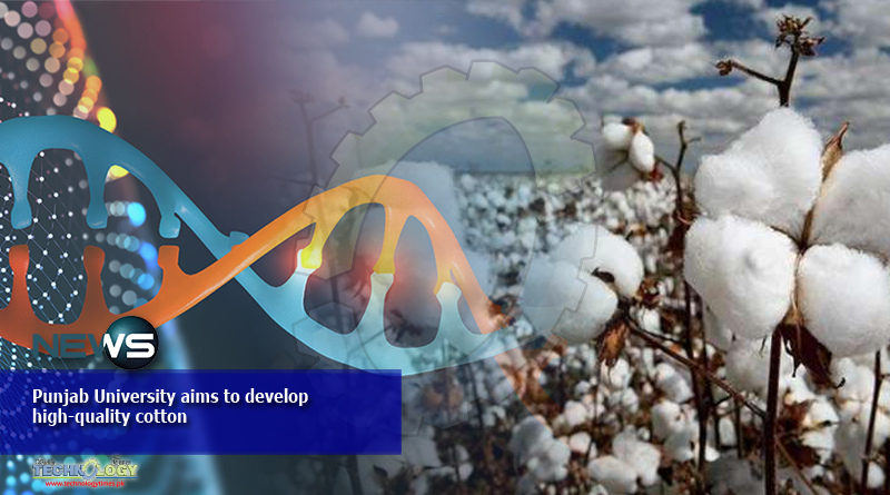 Punjab University aims to develop high-quality cotton