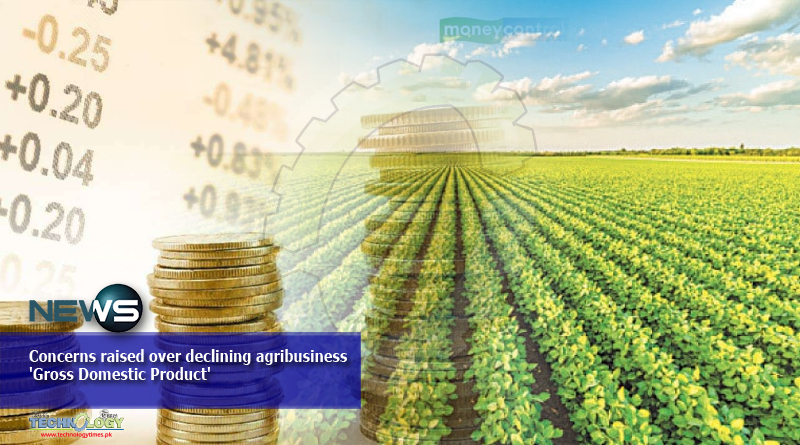 Concerns raised over declining agribusiness 'Gross Domestic Product'
