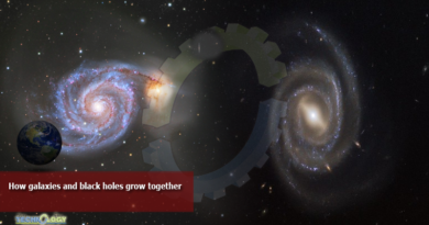 How-galaxies-and-black-holes-grow-together
