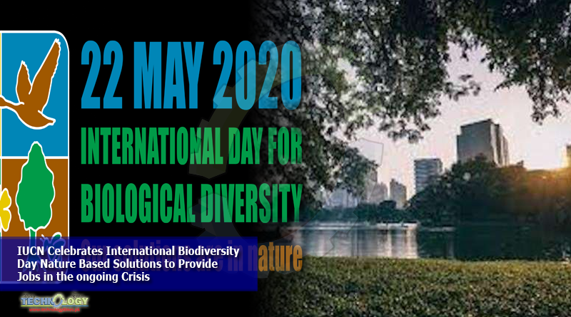 IUCN-Celebrates-International-Biodiversity-Day-Nature-Based-Solutions-to-Provide-Jobs-in-the-ongoing-Crisis
