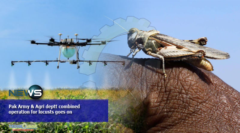 Pak Army & Agri deptt combined operation for locusts goes on