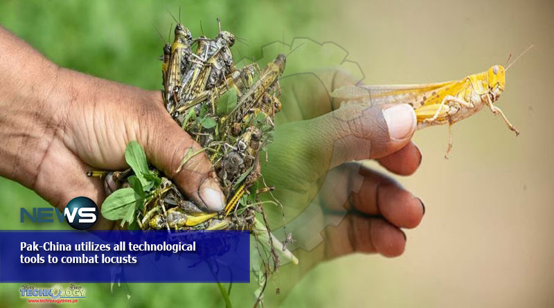 Pak-China-utilizes-all-technological-tools-to-combat-locusts