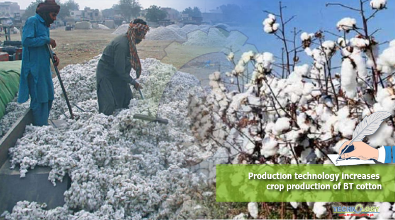 Production technology increases crop production of BT cotton