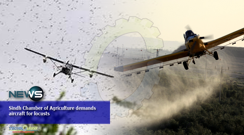 Sindh Chamber of Agriculture demands aircrafts for locust attack