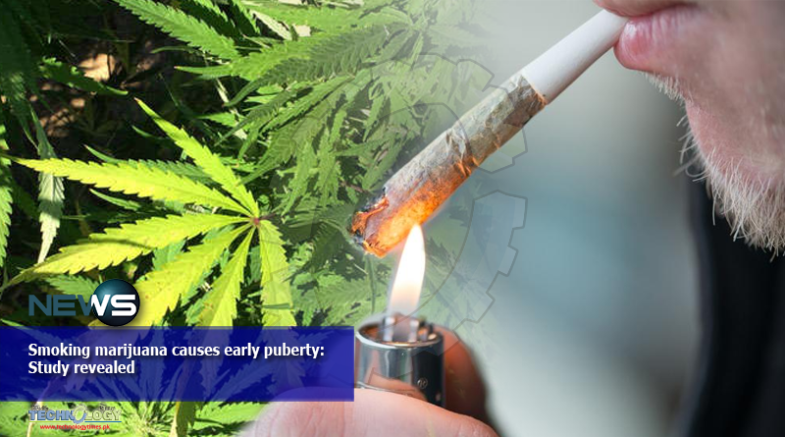 Smoking-marijuana-causes-early-puberty