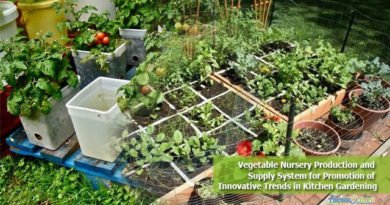 Vegetable Nursery Production and Supply System for Promotion of Innovative Trends in Kitchen Gardening