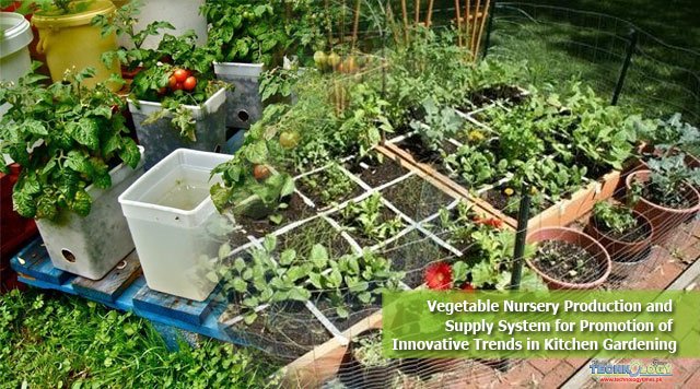 Vegetable Nursery Production and Supply System for Promotion of Innovative Trends in Kitchen Gardening