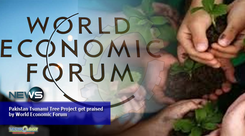 Pakistan Tsunami Tree Project get praised by World Economic Forum