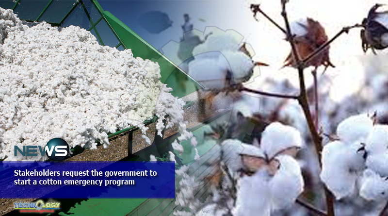 Stakeholders request the government to start a cotton emergency program