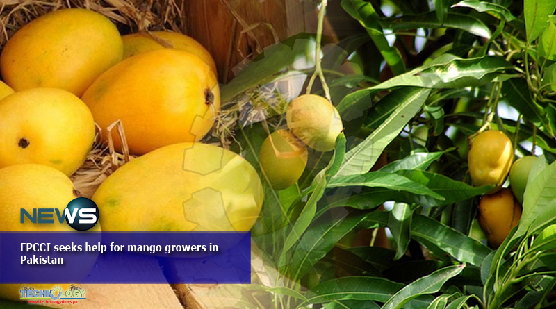 FPCCI seeks help for mango growers in Pakistan