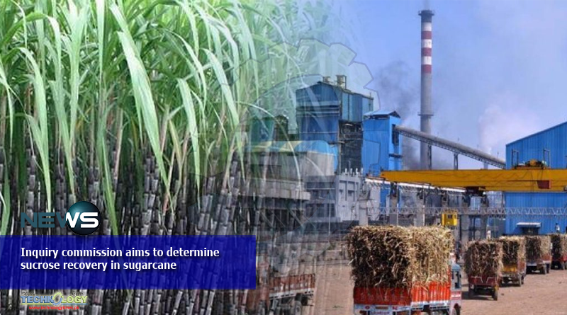 Inquiry commission aims to determine sucrose recovery in sugarcane