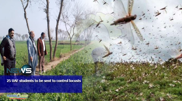 25 UAF students to be sent to control locusts
