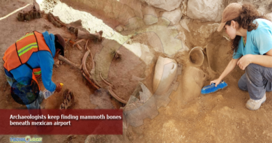 Archaeologists keep finding mammoth bones beneath mexican airport