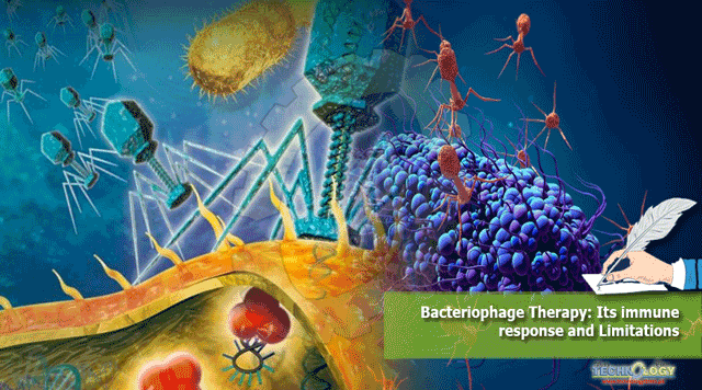 Bacteriophage-Therapy-Its-immune-response-and-Limitations