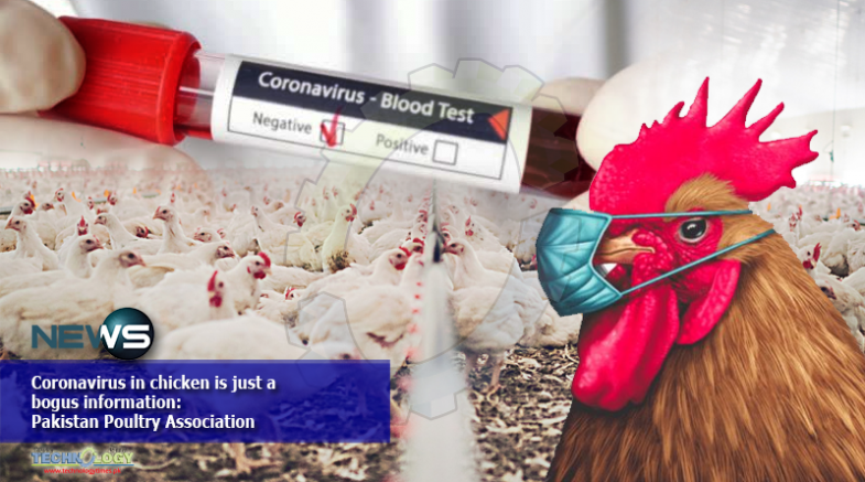 Coronavirus in chicken is just a bogus information: Pakistan Poultry Association