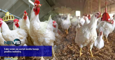 Fake news on social media bangs poultry industry.