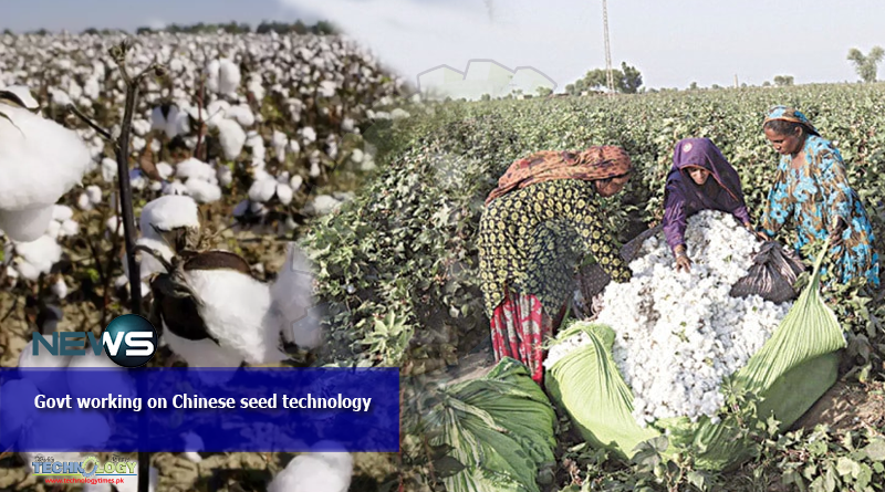 Govt-working-on-Chinese-seed-technology
