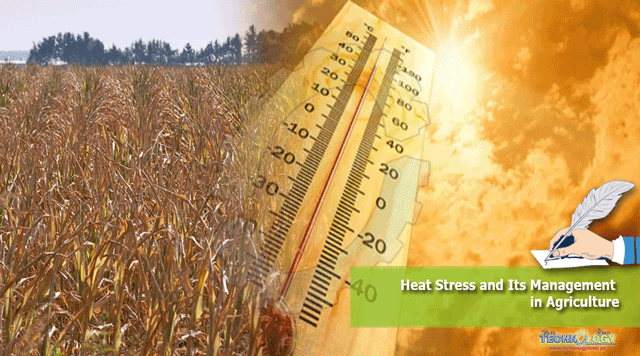 Heat-Stress-and-Its-Management-in-Agriculture