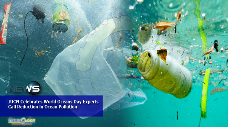 IUCN Celebrates World Oceans Day Experts Call Reduction in Ocean Pollution