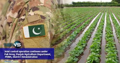 Joint control operation continues under Pak Army, Punjab Agriculture Department, PDMA, District Administration