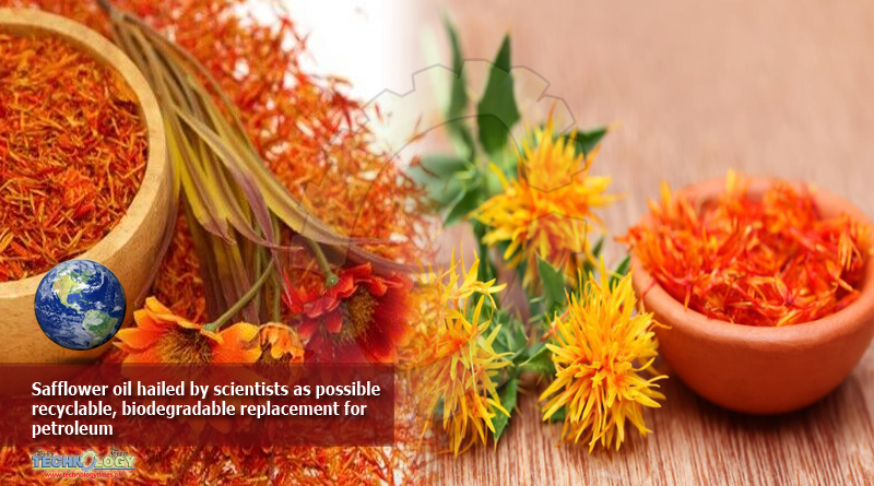 Safflower oil hailed by scientists as possible recyclable, biodegradable replacement for petroleum