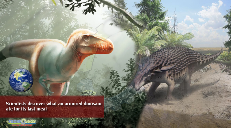 Scientists-discover-what-an-armored-dinosaur-ate-for-its-last-meal