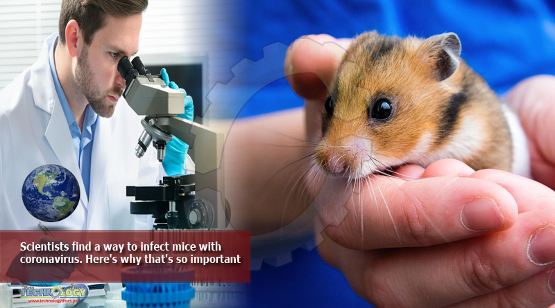 Scientists find a way to infect mice with coronavirus. Here's why that's so important