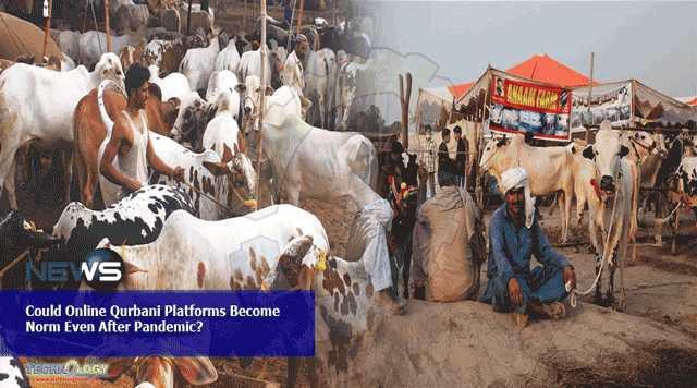 Could-Online-Qurbani-Platforms-Become-Norm-Even-After-Pandemic