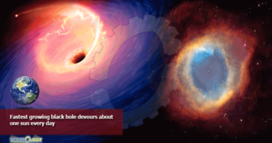 Fastest growing black hole devours about one sun every day