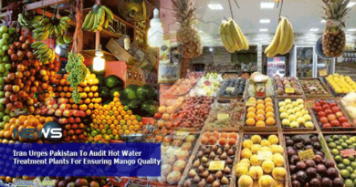 Iran-Urges-Pakistan-To-Audit-Hot-Water-Treatment-Plants-For-Ensuring-Mango-Quality.