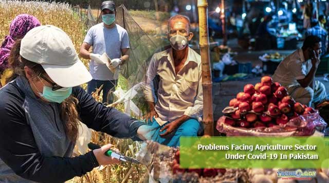 Problems Facing Agriculture Sector Under Covid-19 In Pakistan