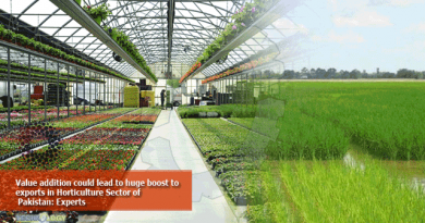 Value-addition-could-lead-to-huge-boost-to-exports-in-Horticulture-Sector-of-Pakistan-Experts