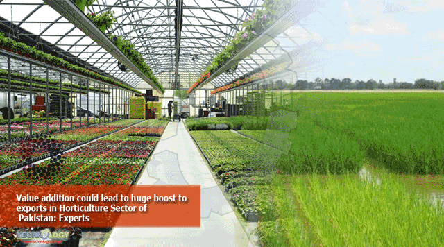Value-addition-could-lead-to-huge-boost-to-exports-in-Horticulture-Sector-of-Pakistan-Experts