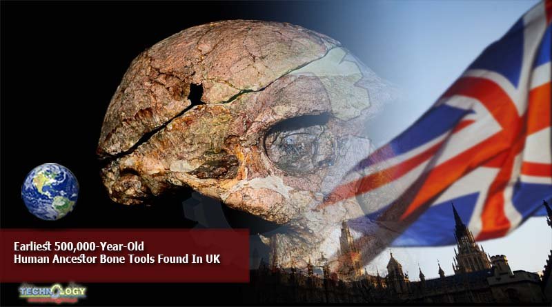 Earliest 500,000-Year-Old Human Ancestor Bone Tools Found In UK