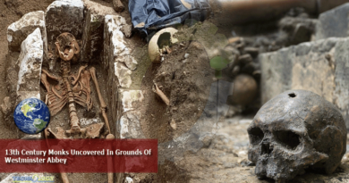 13th Century Monks Uncovered In Grounds Of Westminster Abbey