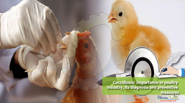 Coccidiosis-Importance-in-poultry-industry-its-diagnosis-and-preventive-measures